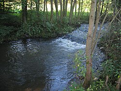 Weiß