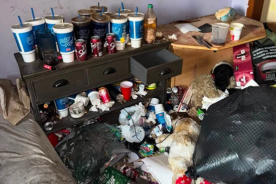 Professionelle Entrümpelung in Köln bei Wohnungsauflösung, Nachlass, schweren Möbeln oder festen Übergabeterminen